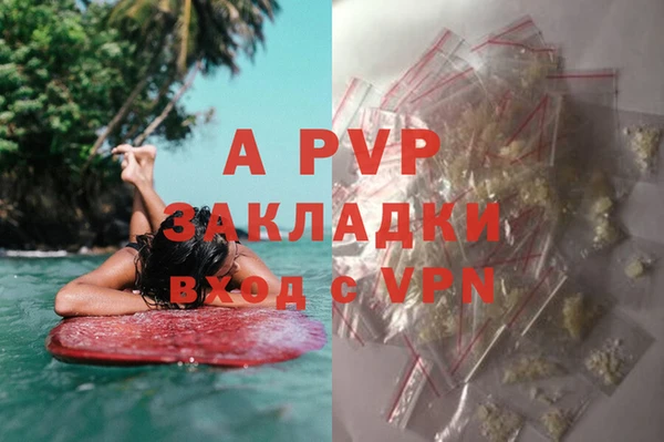 твердый Приозерск